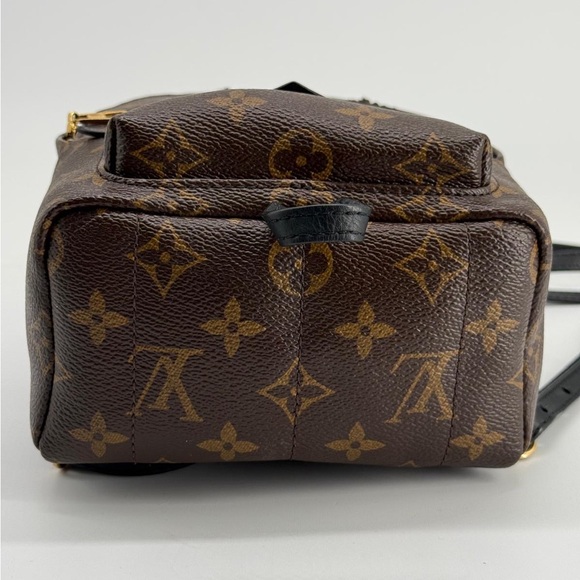 Louis Vuitton Palm Springs Backpack Mini Brown Canvas main image 11